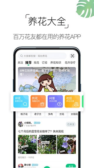 养花大全