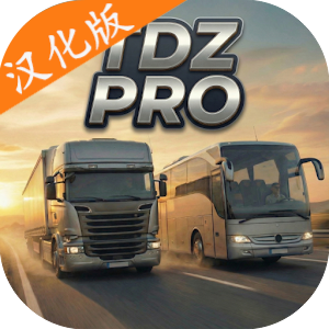 TDZ驾驶模拟器汉化版