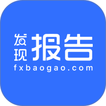 发现报告