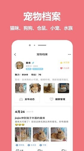 宠物王国
