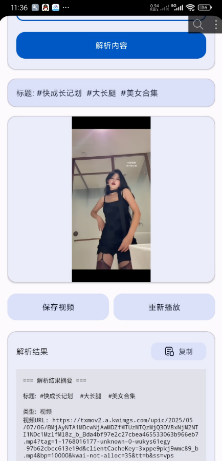 视频解析器