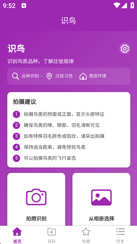 识鸟扫一扫软件