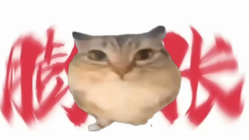 巴巴博一正版