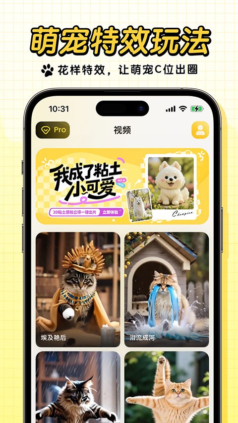 宠玩动物对话翻译器免费版