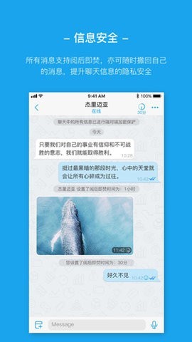 AntMessenger聊天软件
