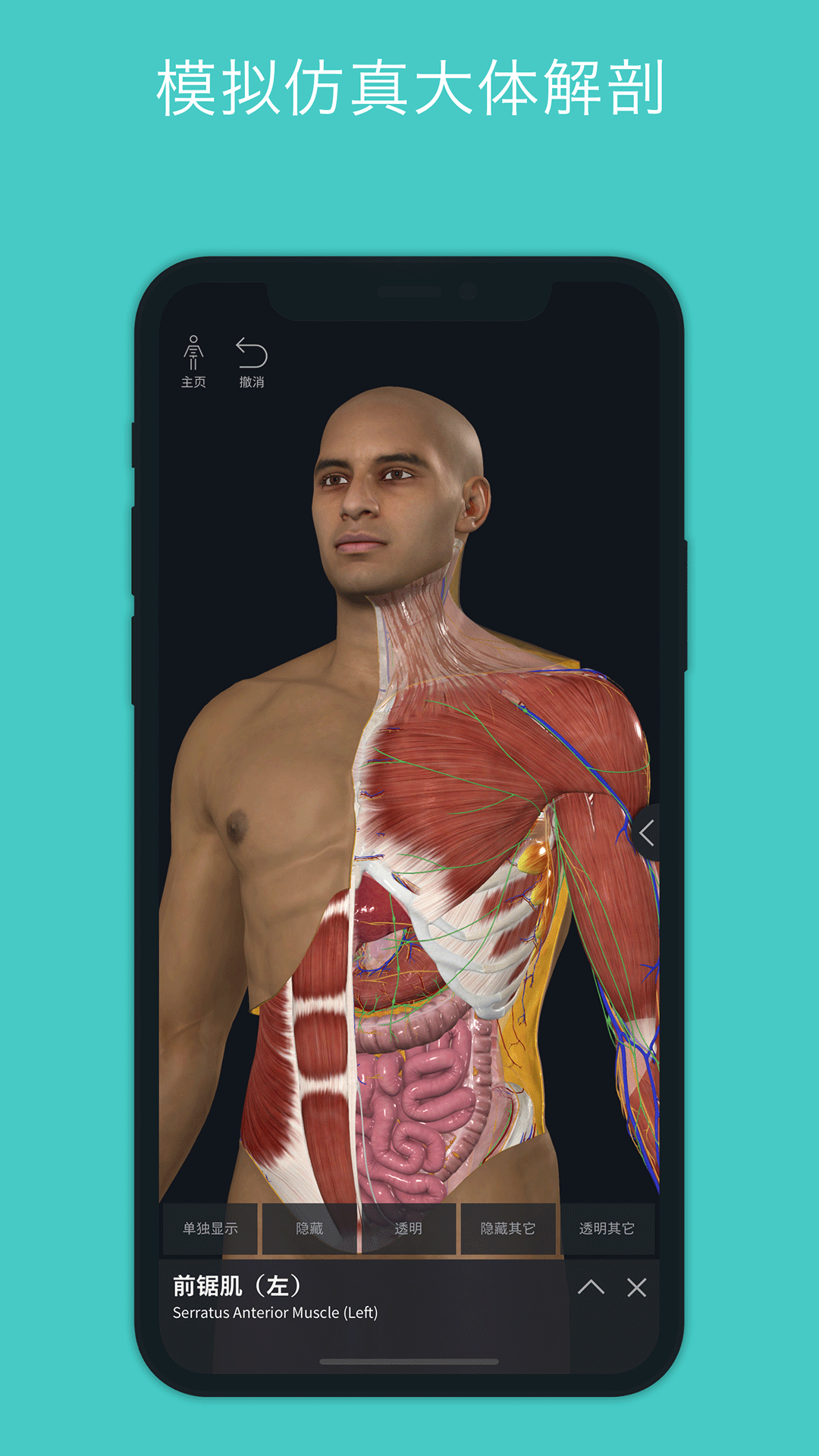 completeanatomy中文版2026