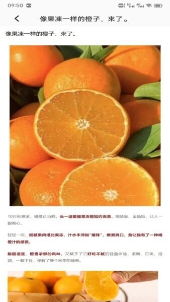 发财橙子刷视频赚钱官方正版